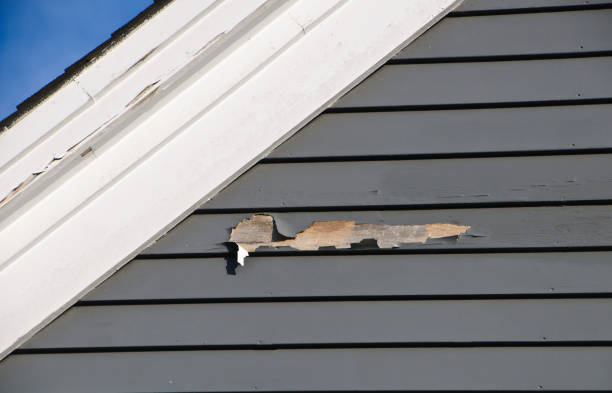 Best Same-Day Junk Removal Services  in Dilley, TX